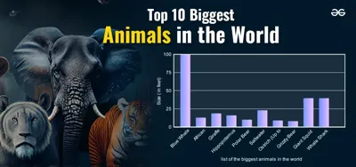 Largest, Longest, Tallest, and Biggest Things in the World (2024)