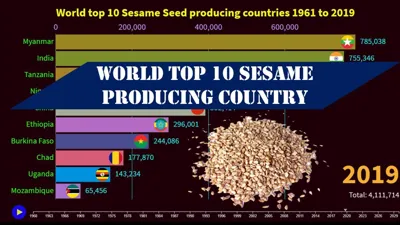 Top 10 Sesame Producing Countries in the World