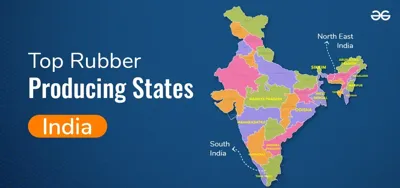 Top 10 Cotton-Producing States in India 2024