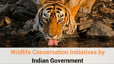 Haryana's Initiatives for Wildlife Conservation: Aravalli Jungle Safari and Green Wall Project