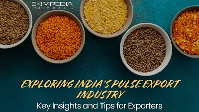 Exploring India's Pulse Production: Madhya Pradesh Leads the Way