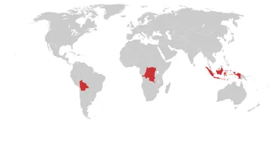 Top Tin-Producing Countries and Their Global Impact