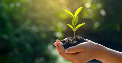 Chhattisgarh Pioneers Green GDP Model in India