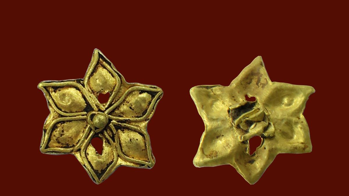 Archaeologists come up with rare findings in Tamil Nadu