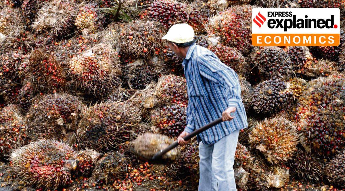 Indonesia S Palm Oil Crisis And Its Implications For India