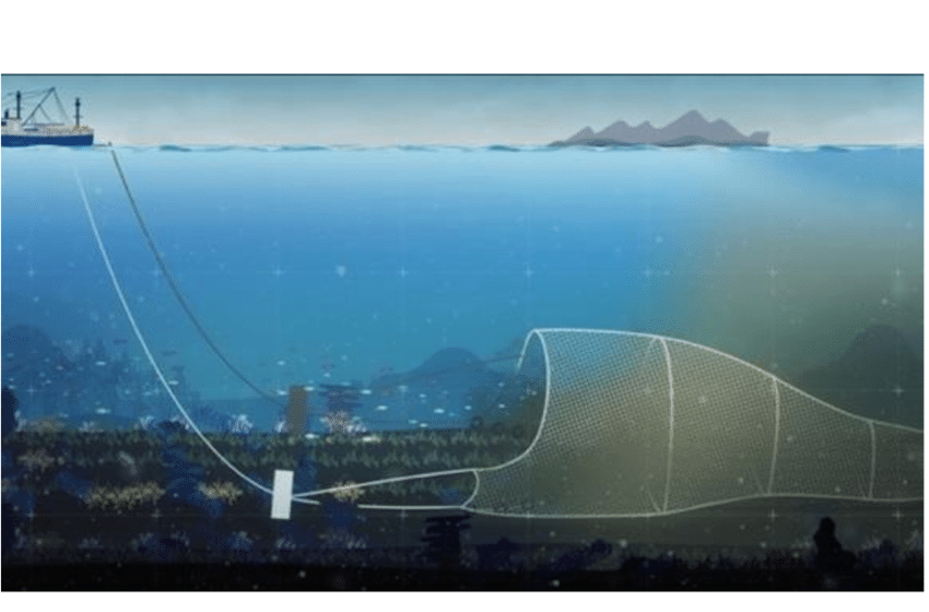 India must incentivise fishers to give up bottom trawling