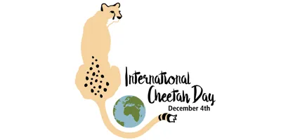 International Cheetah Day: Conservation and Key Facts