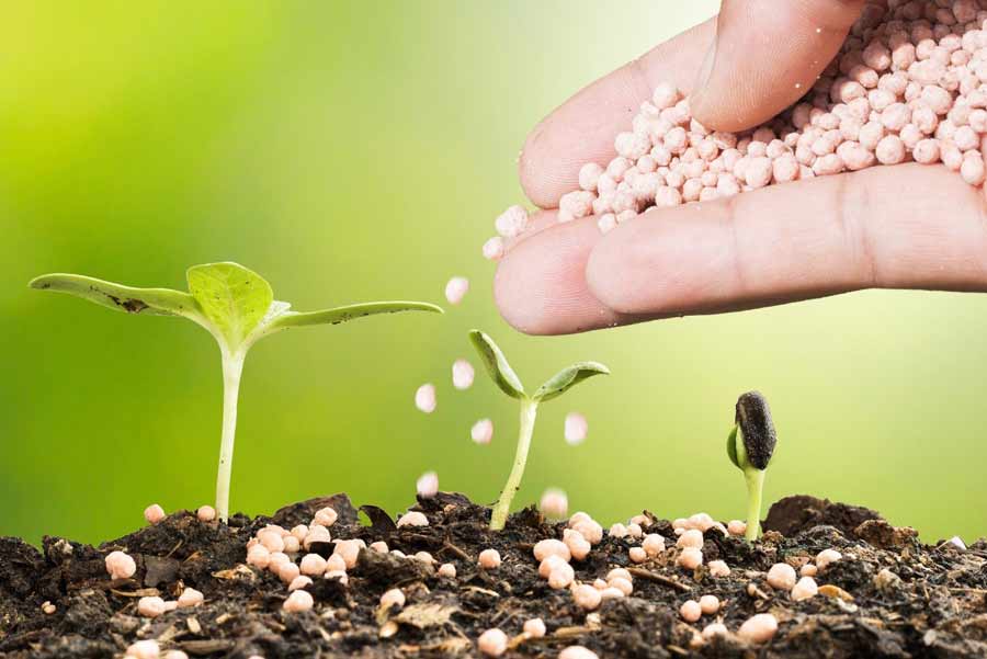 Reducing ammonia emissions through fertilizer management