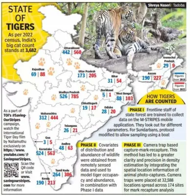 Maharashtra's Tiger Count Rises to 444 in 2025