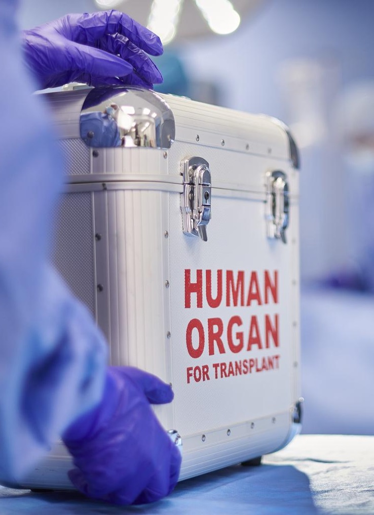 ORGAN TRANSPLANTS: WHY DELHI HC HAS PRESCRIBED 6-8-WEEK TIMELINE