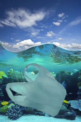 Global Plastic Action Partnership and the Fight Against Plastic Pollution