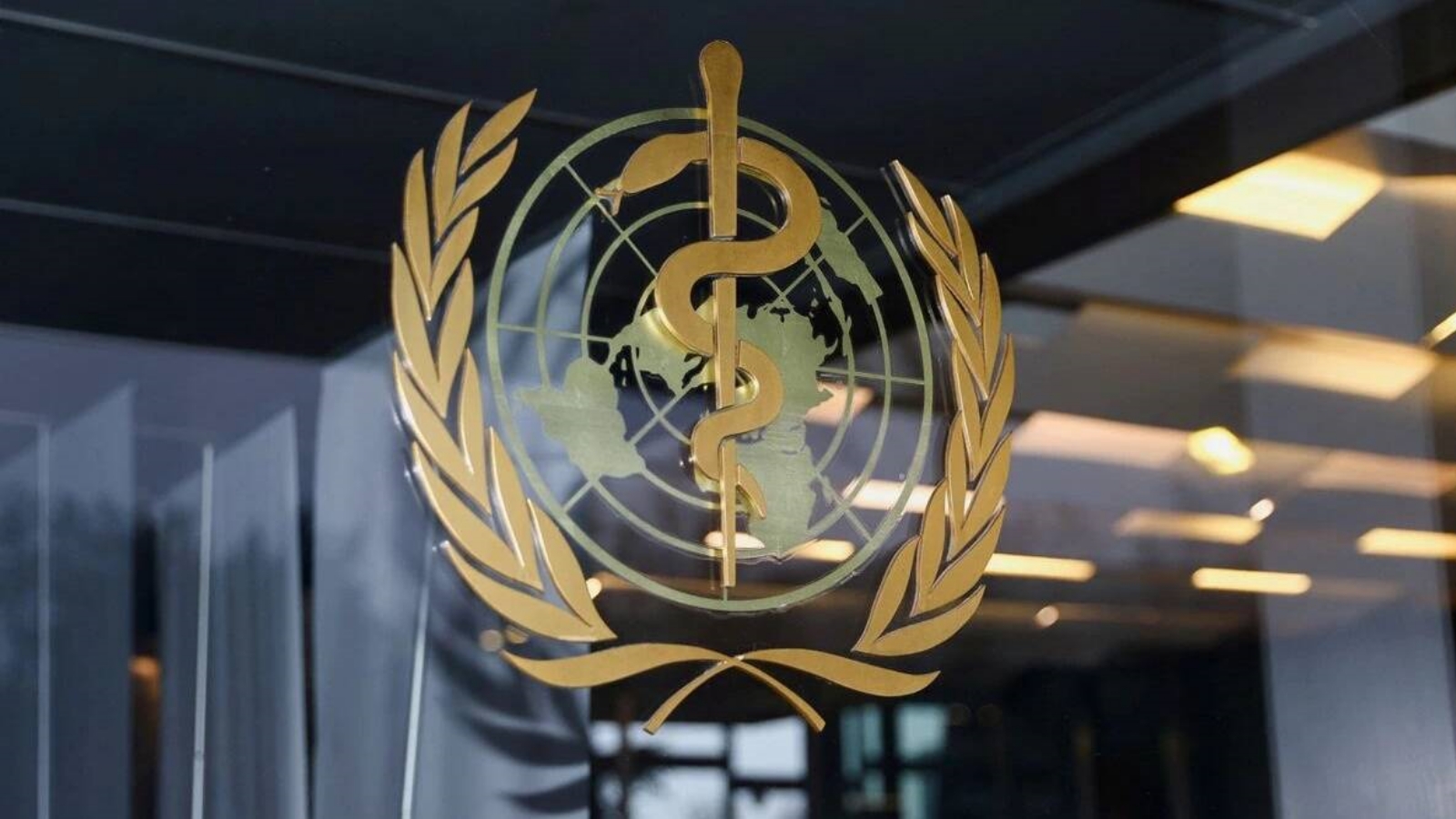 WHO launches digital health platform agreed upon in India's G2O presidency