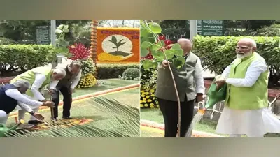 PM Modi Launches 'Ek Ped Maa Ke Naam' Campaign on World Environment Day