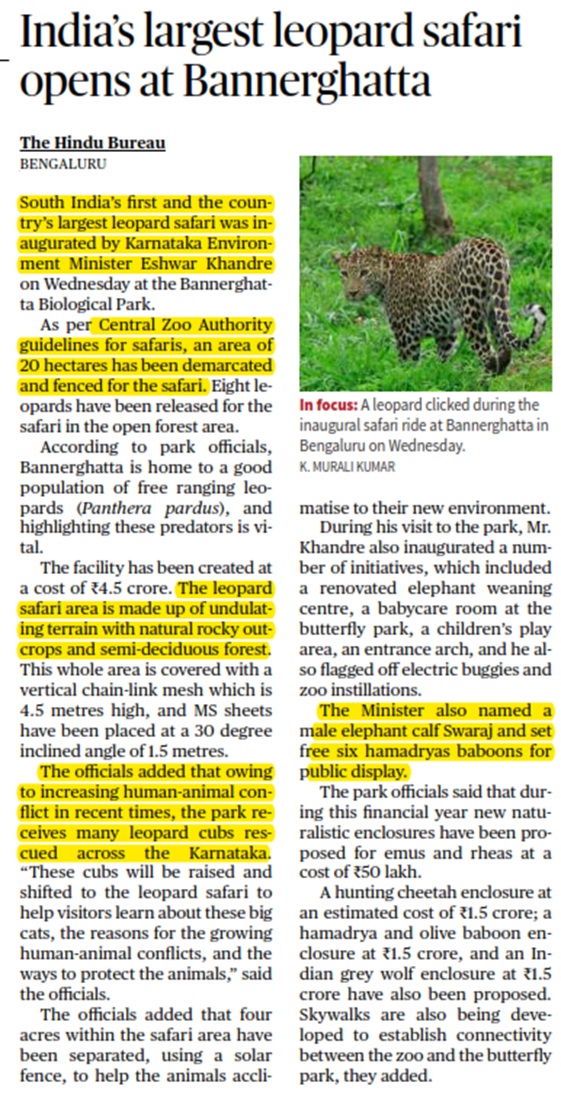 India’s largest leopard safari opens at Bannerghatta