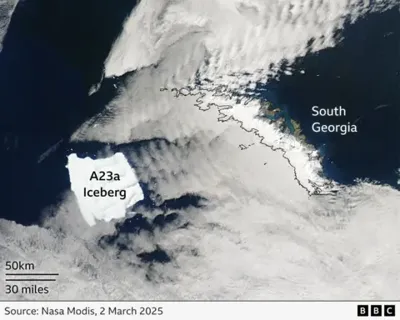 World's Largest Iceberg A23a Runs Aground Near South Georgia
