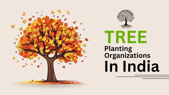 Rajasthan Aims to Plant 10 Crore Trees Under Mission Harit Rajasthan