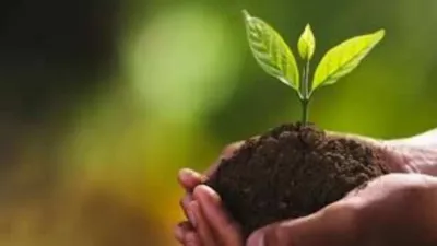 BSF and SBI Collaborate on 'Grow with the Trees' Plantation Drive in Srinagar