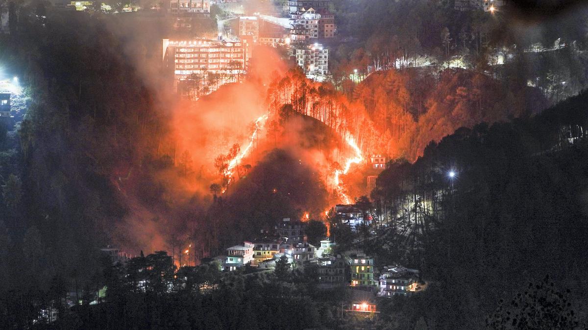 How can Himachal Pradesh fight against forest fires?
