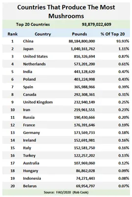 Top 10 Mushroom Producing Countries in the World