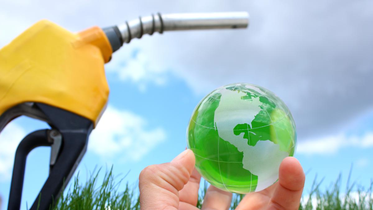 Scientists from India, China, U.K. develop catalyst to produce cheaper biodiesel