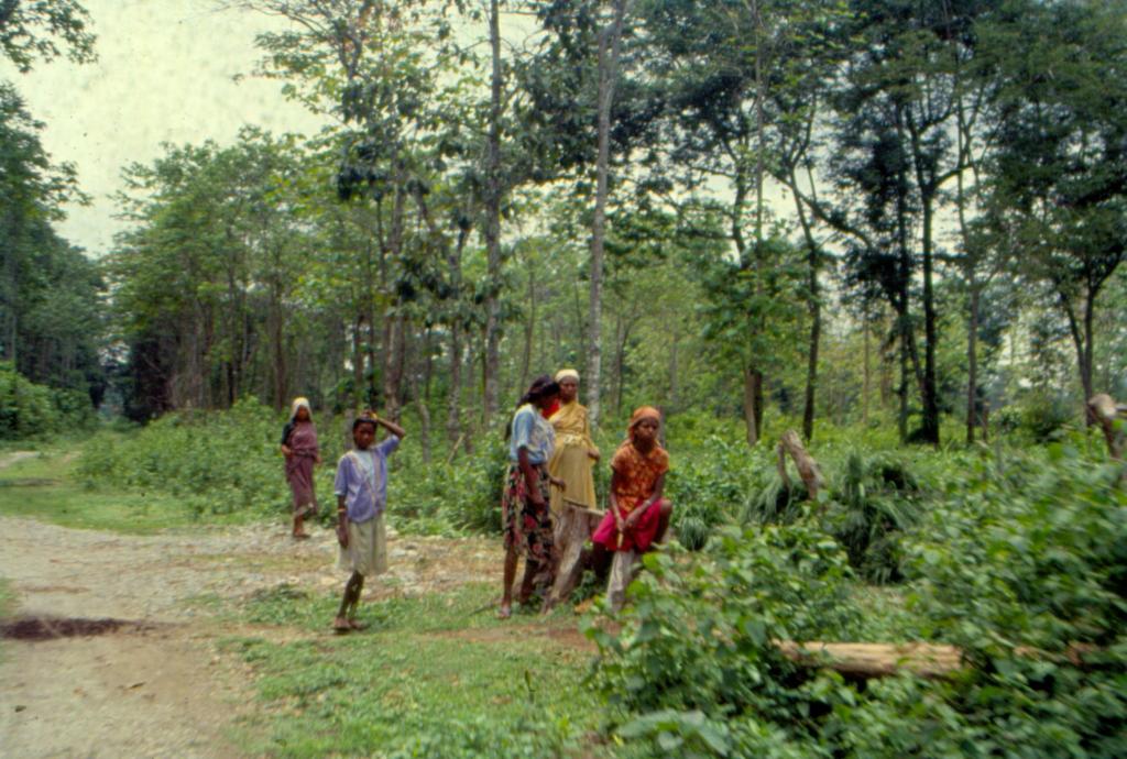 An uphill struggle to grow the Forest Rights Act