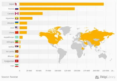 Top 5 Mustard Producing Countries in the World