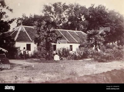 Rajasthan Adopts Tamil Nadu's Nursery Model to Promote Indigenous Trees