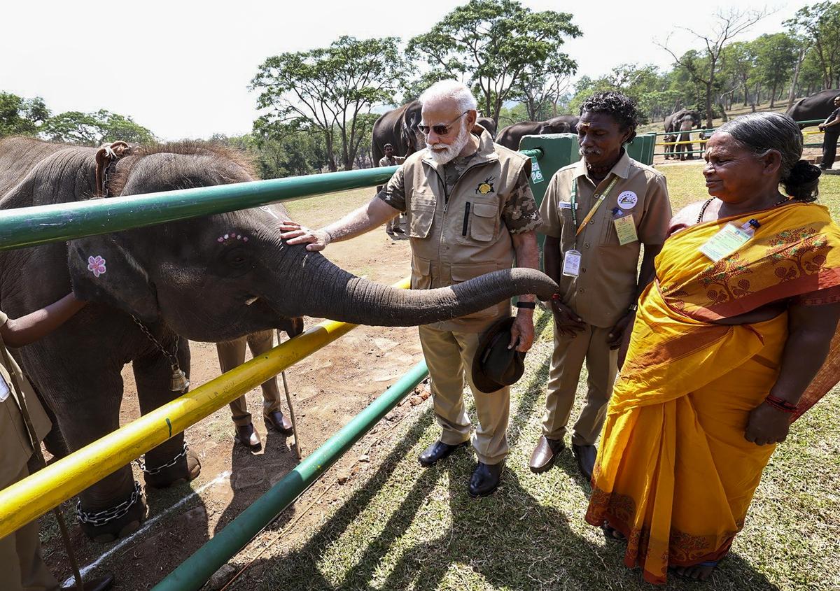 Prime Minister Modi interacts with ‘Elephant Whisperers’ Bomman, Bellie at Theppakadu Elephant Camp