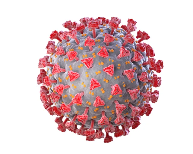 Human Coronavirus HKU1: Identification, Symptoms, and Transmission