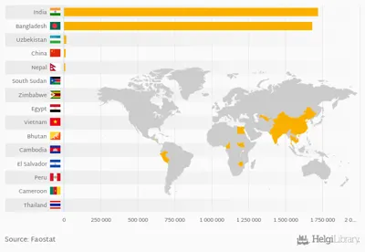 Top 10 Jute-Producing Countries in the World 2024