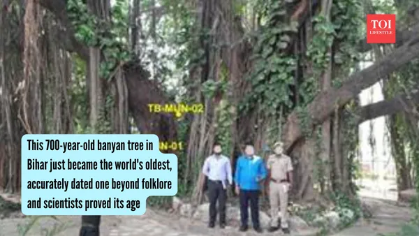 700-Year-Old Banyan Tree in Munger Confirmed as World's Oldest
