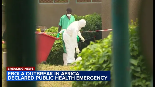 WHO Declares Global Health Emergency Over Ebola Outbreak in DRC and Uganda