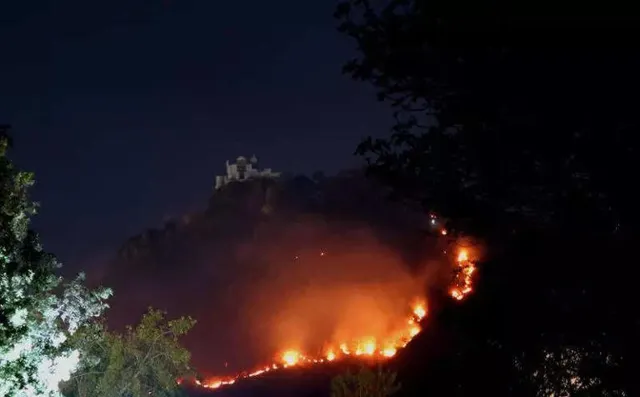 Wildfire Threatens Sajjangarh Wildlife Sanctuary in Rajasthan