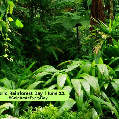 World Rainforest Day 2024: Empowering the World in Defense of Our Rainforests