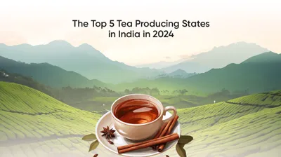 Top 5 Cardamom Producing States in India