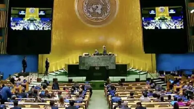 UNGA Elects New Members to Human Rights Council for 2025-2027 Term