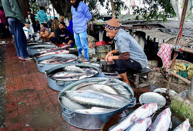 Mission Rangeen Machhli 2031 Launched to Boost Ornamental Fisheries in Lakshadweep