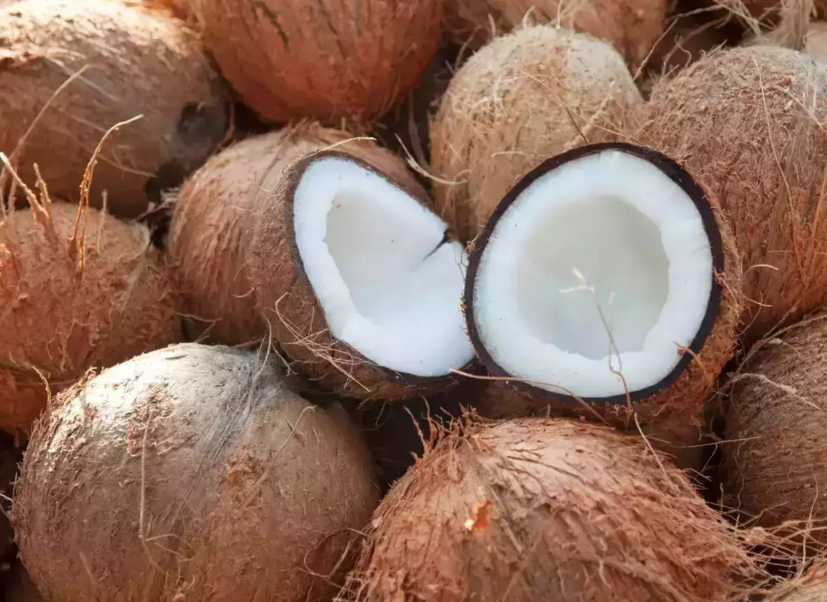 Centre hikes copra MSP by ₹250-₹300 per quintal for 2024