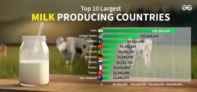 Top 10 Milk Producing States in India in 2024