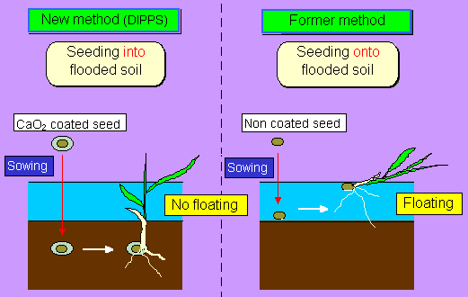 Matrix Direct Seed Rice Why Direct Seeding of Rice matters