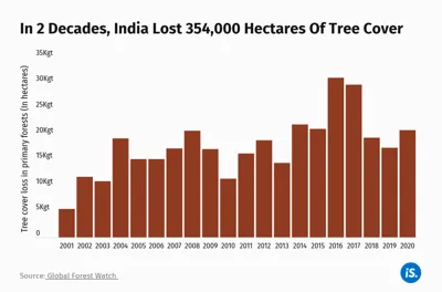 Understanding India's Tree Cover Loss: Trends, Causes, and Impacts