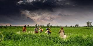 Ignoring an agricultural sector in distress