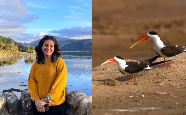 Indian Scientist Parveen Shaikh Wins 2026 Whitley Award for Indian Skimmer Conservation