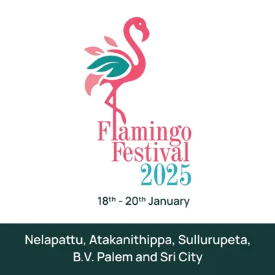 Flamingo Festival 2025: A Call for Conservation in Andhra Pradesh