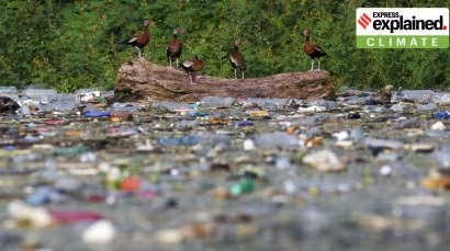 The planet’s plastic problem: why we need a global plastics treaty