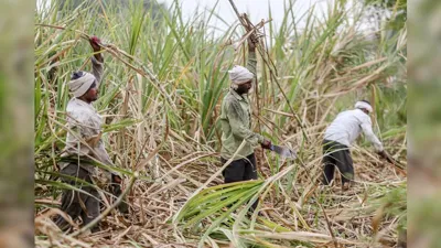 Uttar Pradesh to Set Up Crop-Specific Boards to Boost Agro Exports