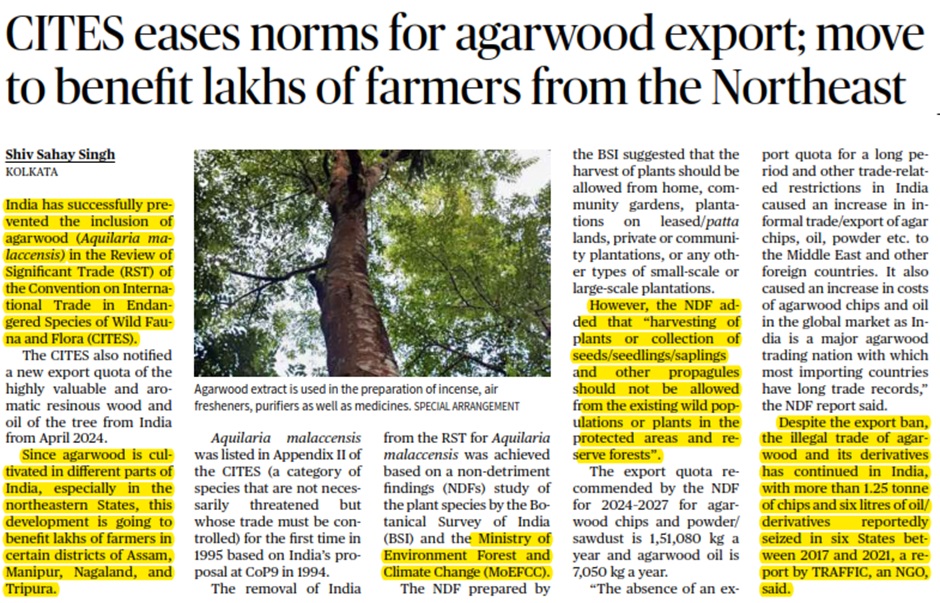 CITES eases norms for agarwood export; move to benefit lakhs of farmers from the Northeast