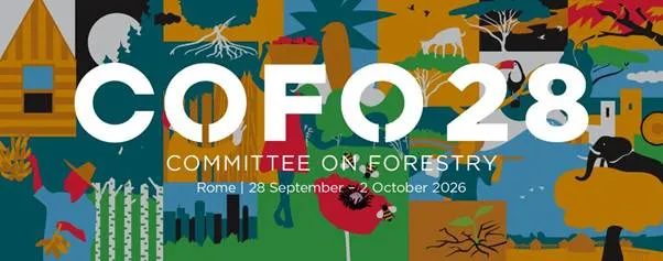 India Highlights Forest Restoration Efforts at COFO 28 in Rome