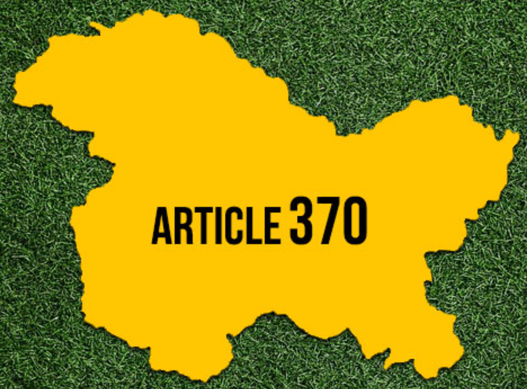 Why many states in India enjoy special provisions