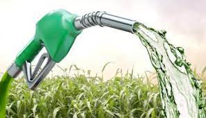 India’s ethanol conundrum